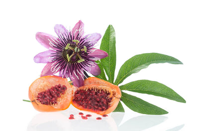 Benefits of Passion Flower: Calming Mind & Body