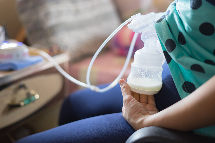 herbs to increase breast milk supply