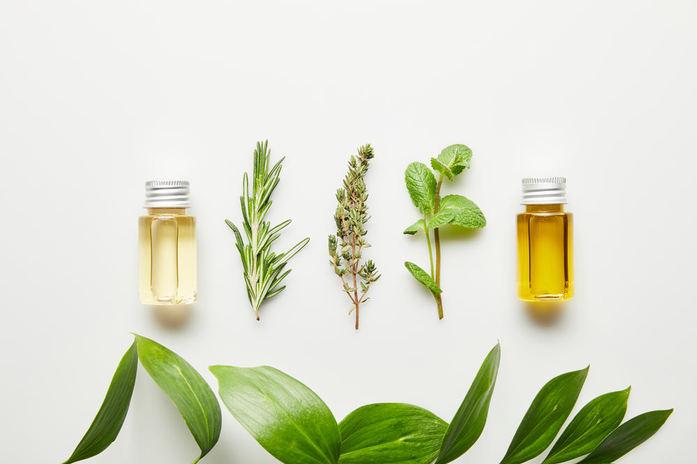 Herbs to Avoid When Breastfeeding – Euphoric Herbals