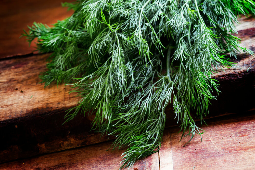 benefits of dill weed