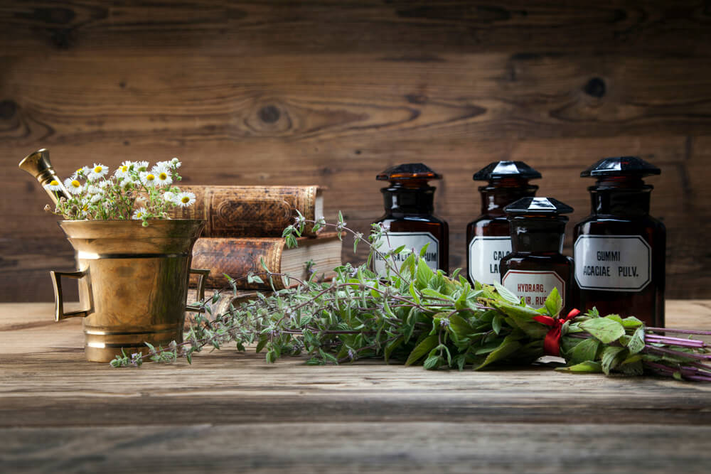 herbal business ideas