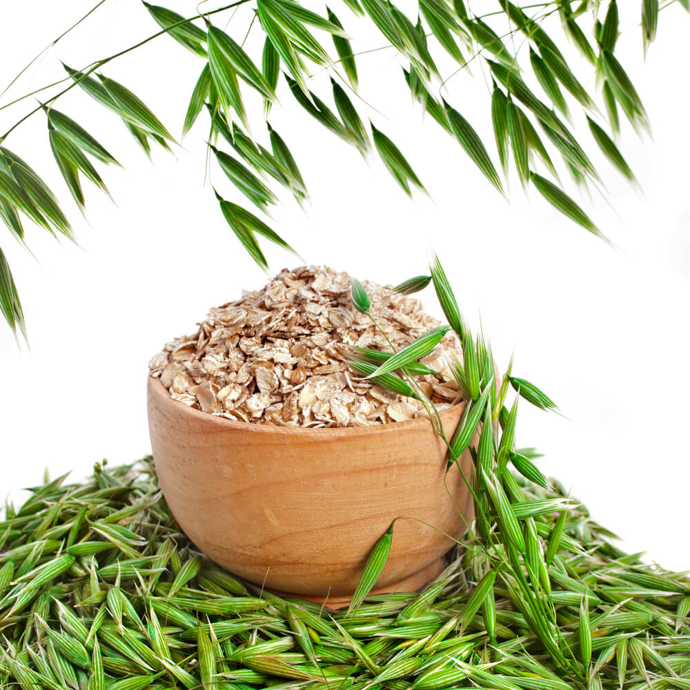 Healing Benefits of Oatstraw and Milky Oats – Euphoric Herbals
