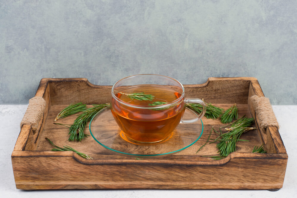 health benefits of pine needles