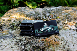 Chuga Shilajit boxes on a stone surface with greenery in the background