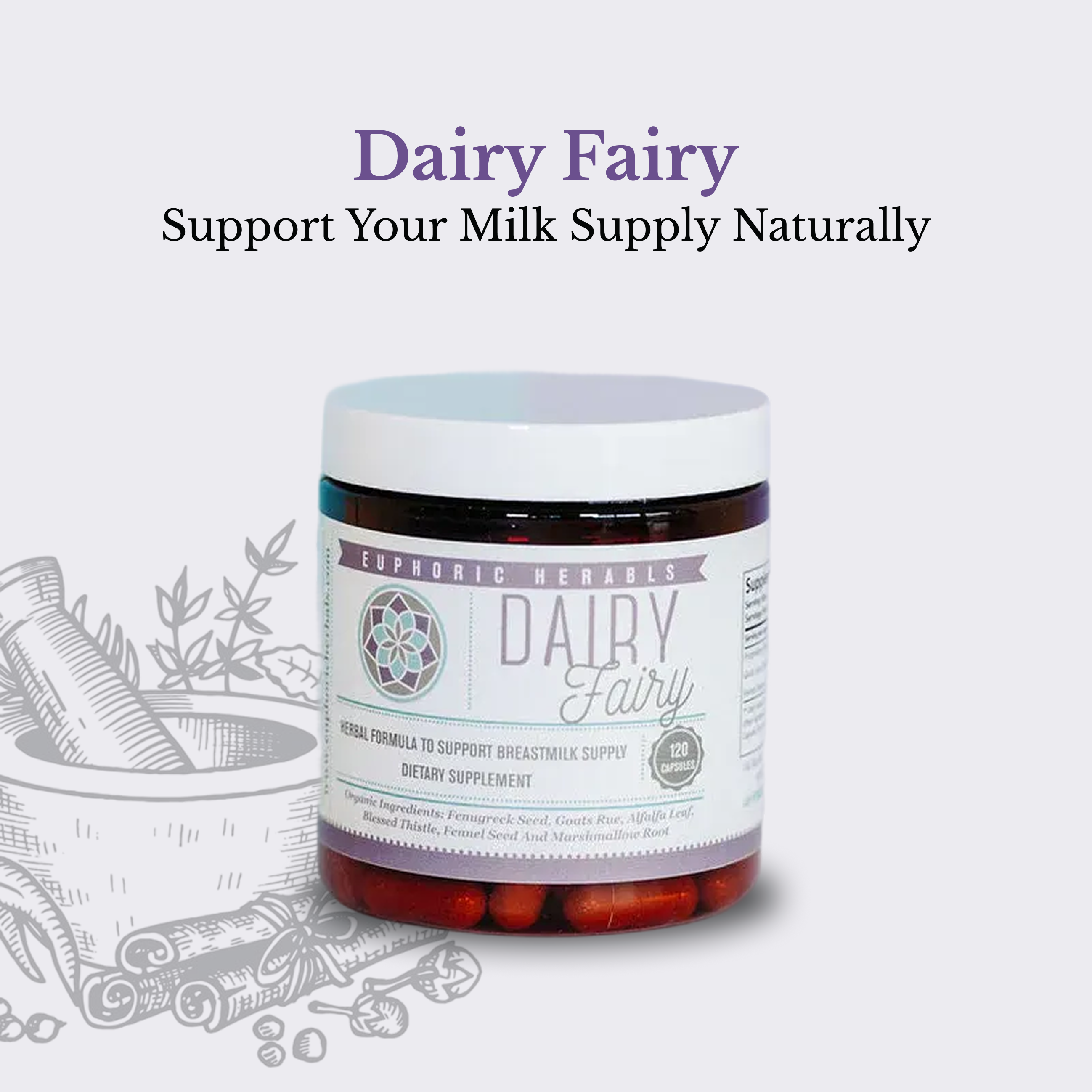 Dairy Fairy - Breastfeeding Supplement