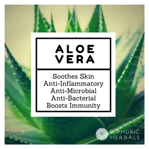 Aloe Vera Leaf - Herbs