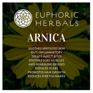 Arnica Flowers - Herbs