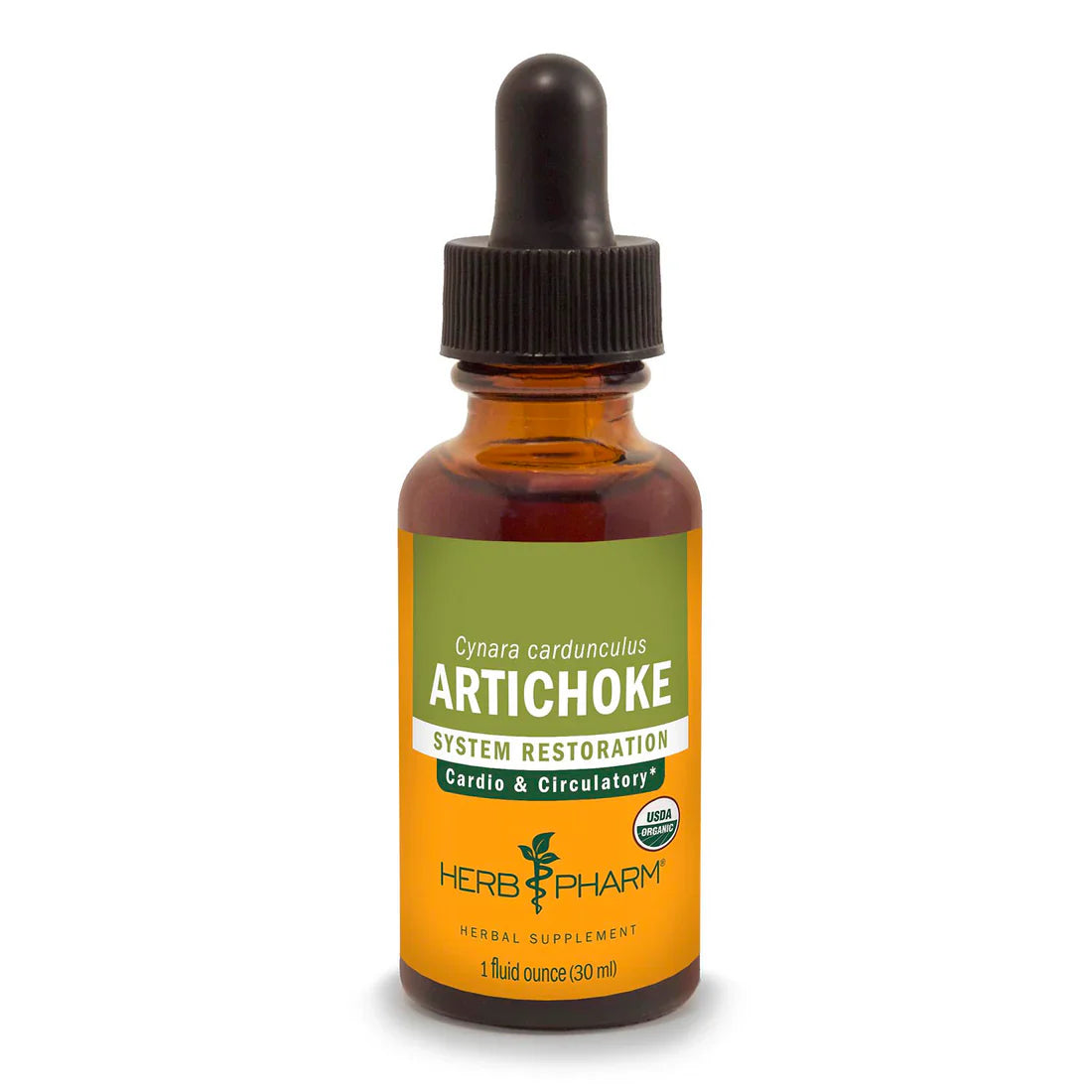 Artichoke Extract - Extracts