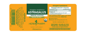 Astragalus Extract - Extracts