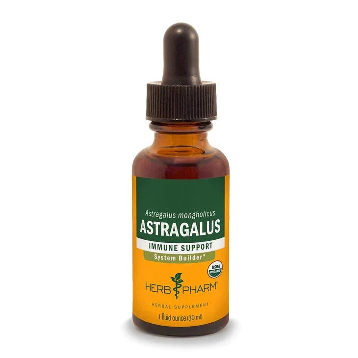Astragalus Extract - Extracts