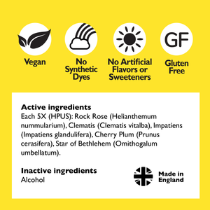 Bach Rescue Remedy Natural Stress Relief - Apothecary