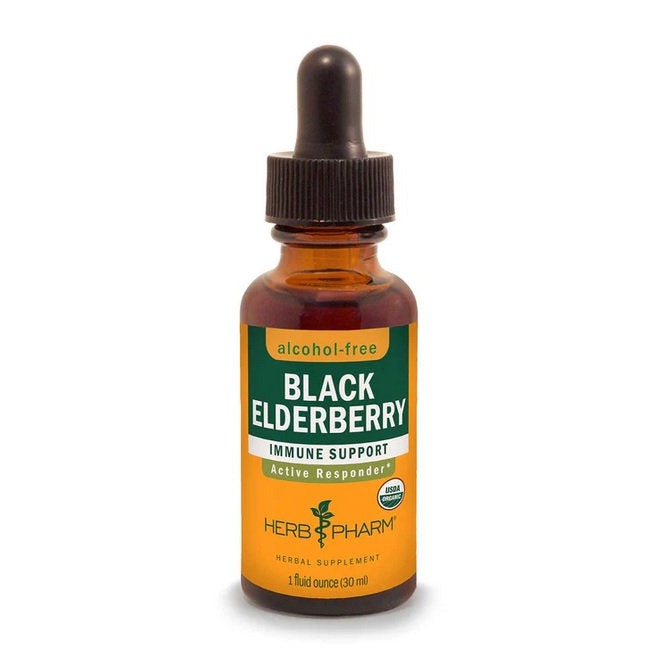 Black Elderberry Extract - Extracts