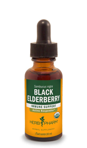 Black Elderberry Extract - Extracts
