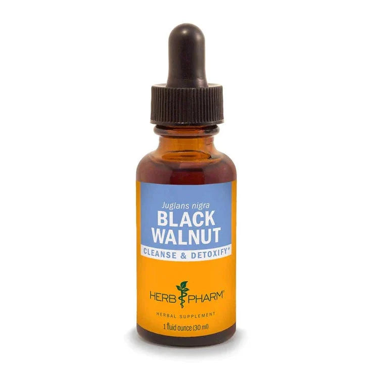 Black Walnut Extract - Extracts