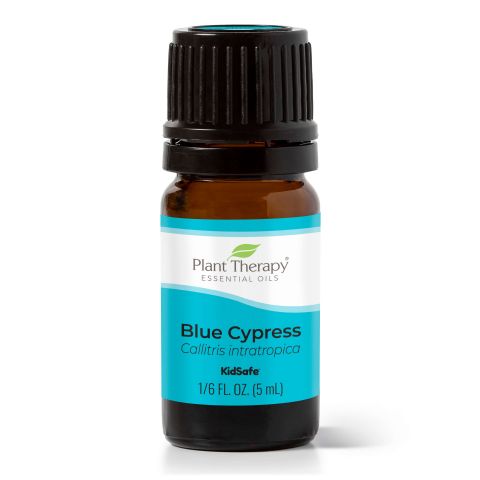 Blue Cypress Essential Oil - Oils