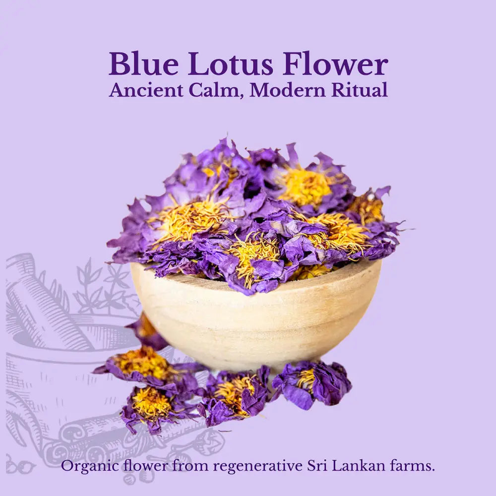 Blue Lotus Flower - Herbs lotus flowers from Euphoric Herbals offer relaxation and stress relief. These dried feature