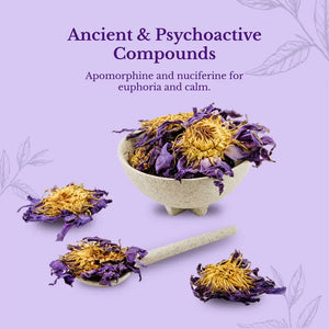 Blue Lotus Flower - Herbs flowers from Euphoric Herbals offer relaxation and stress relief. These dried feature purple
