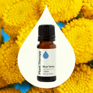 Blue Tansy Essential Oil - Oils
