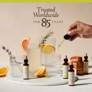 Clematis Bach Flower Remedies - Apothecary
