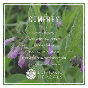 Comfrey Leaf - Herbs