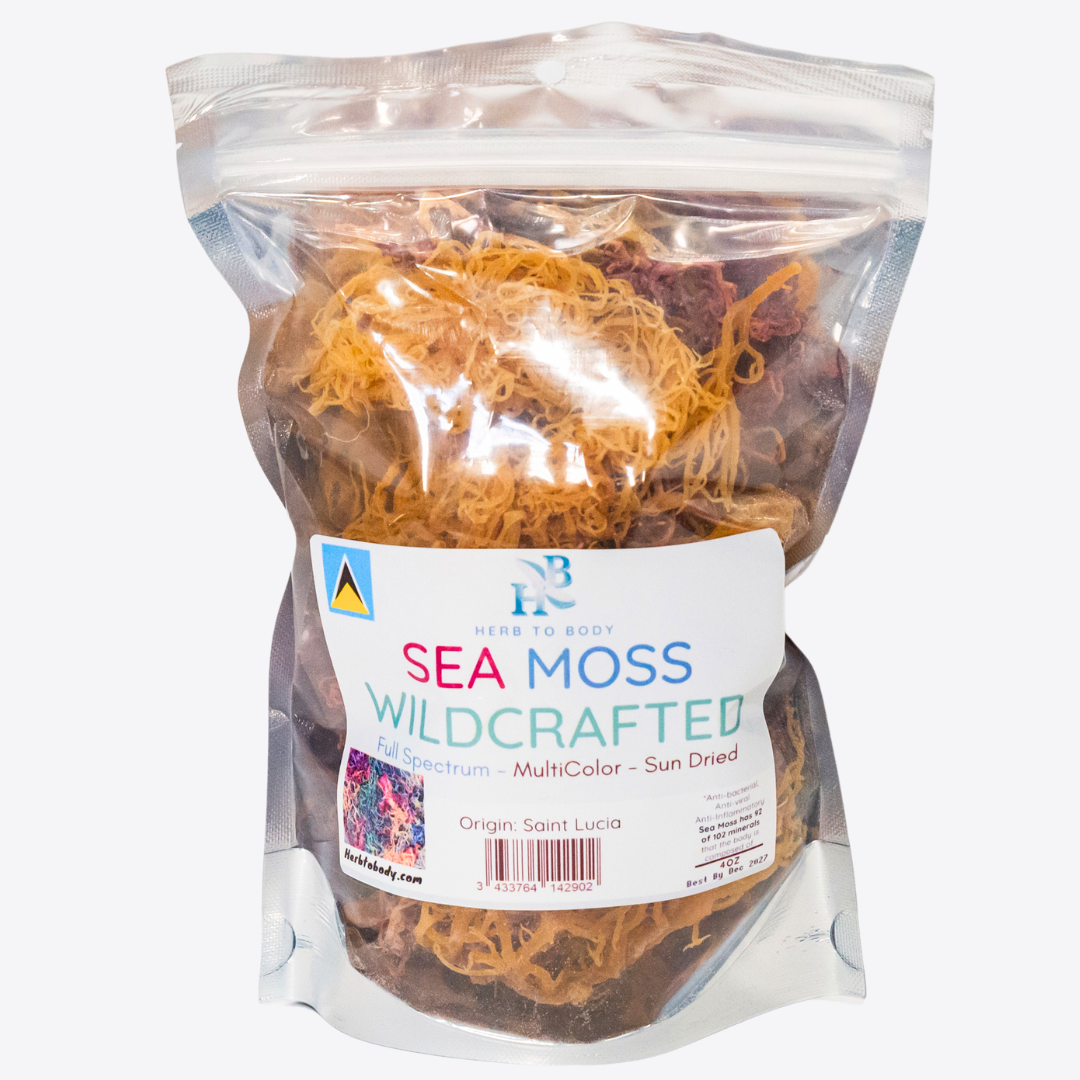 Multicolored Irish Sea Moss – Wild Harvested