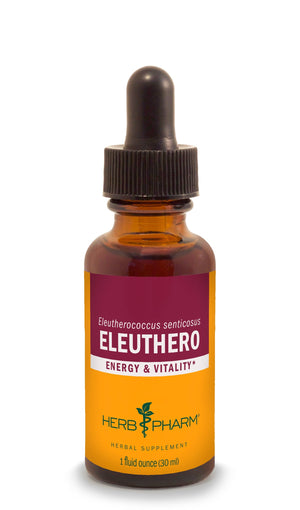 Eleuthero Extract - Extracts