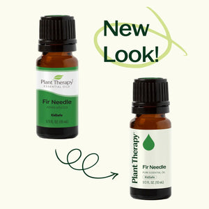 Fir Needle Essential Oil - Oils