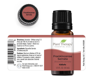 Frankincense Serrata Essential Oil - Oils