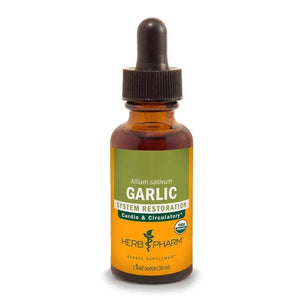 Garlic Extract - Extracts
