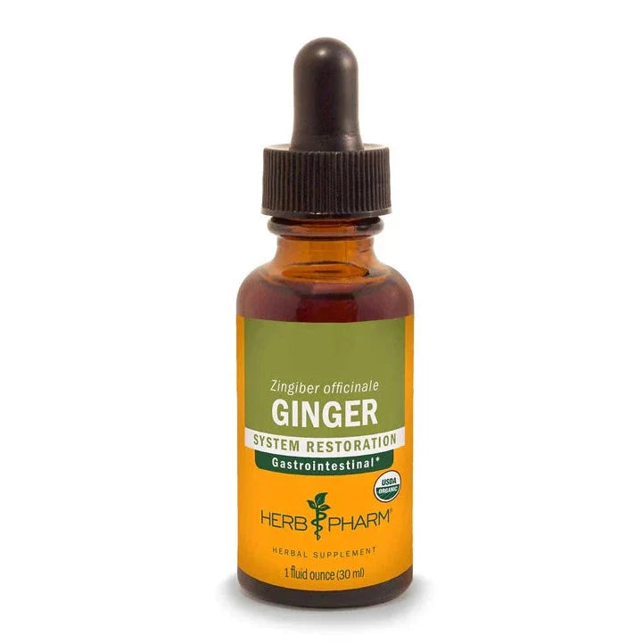 Ginger Extract - Extracts