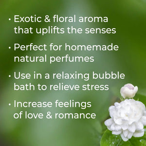 Jasmine Absolute Oil - Essential Oils
