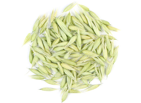 Milky Oat Tops - Herbs