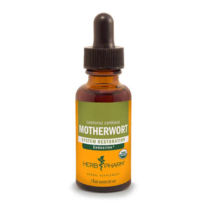 Motherwort Extract - Extracts