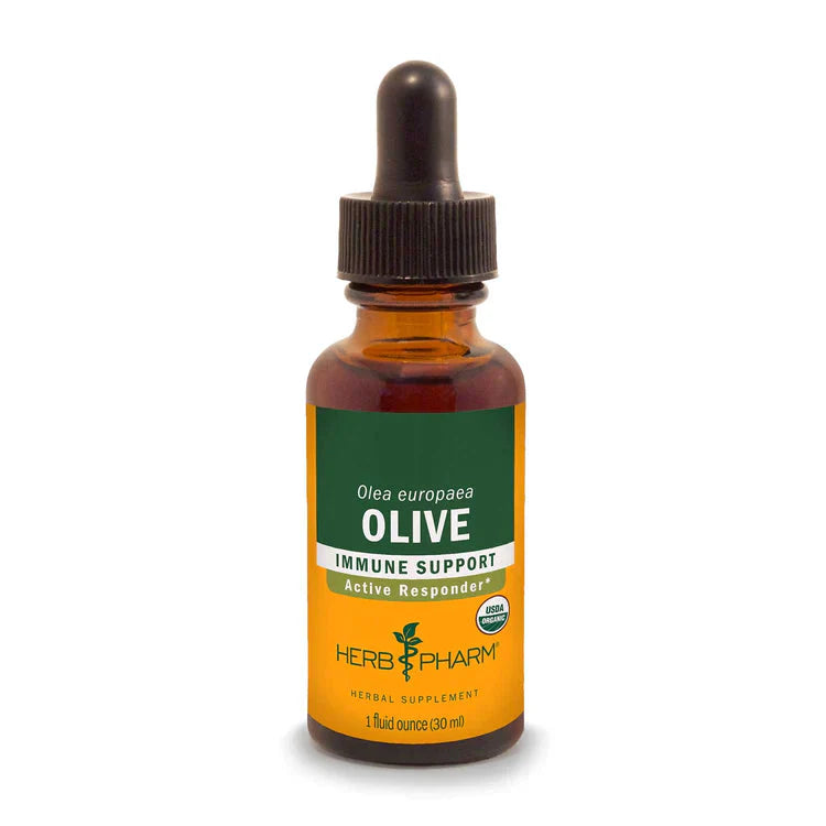 Olive Immune Support Extract - Extracts