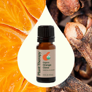 Orange Clove Essential Oil - Oils