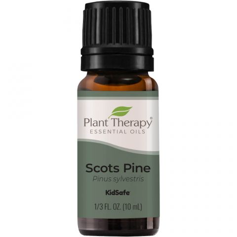 Scots Pine Essential Oil - Oils