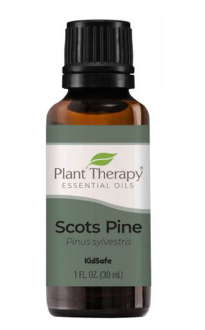Scots Pine Essential Oil - Oils