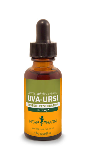 Uva Ursi Extract - Extracts