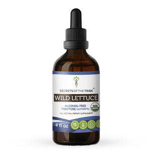 Wild Lettuce Tincture - Extracts