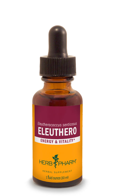 Eleuthero - Euphoric Herbals