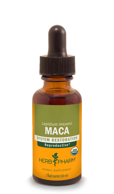 Maca Extract - Euphoric Herbals