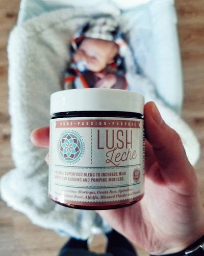Goat's Rue to Increase Your Breast Milk Supply