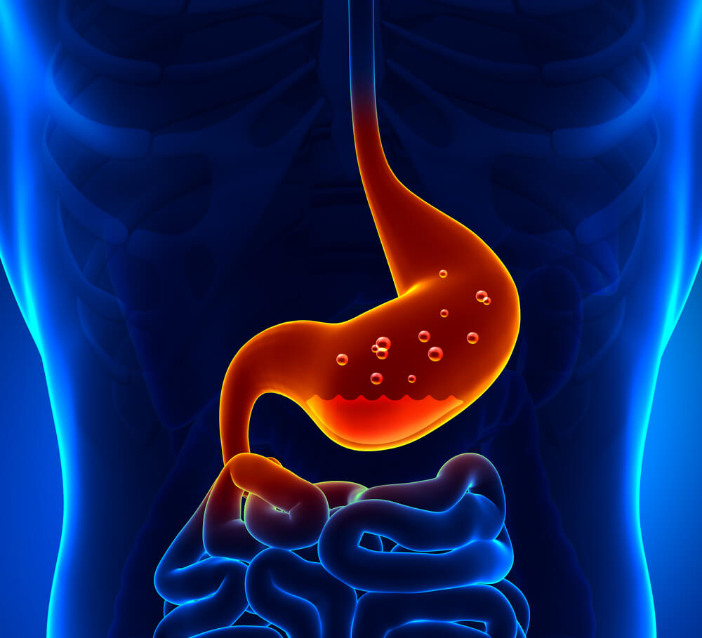 Herbs and natural remedies for acid reflux euphoric herbals