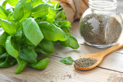 10 Amazing Health Benefits of Basil & Tulsi