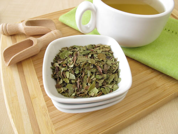 health benefits of uva ursi