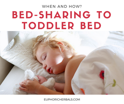 From Bed-sharing to Toddler Bed. When and How?