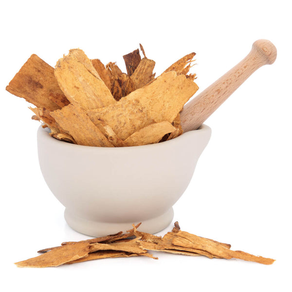 benefits of astragalus