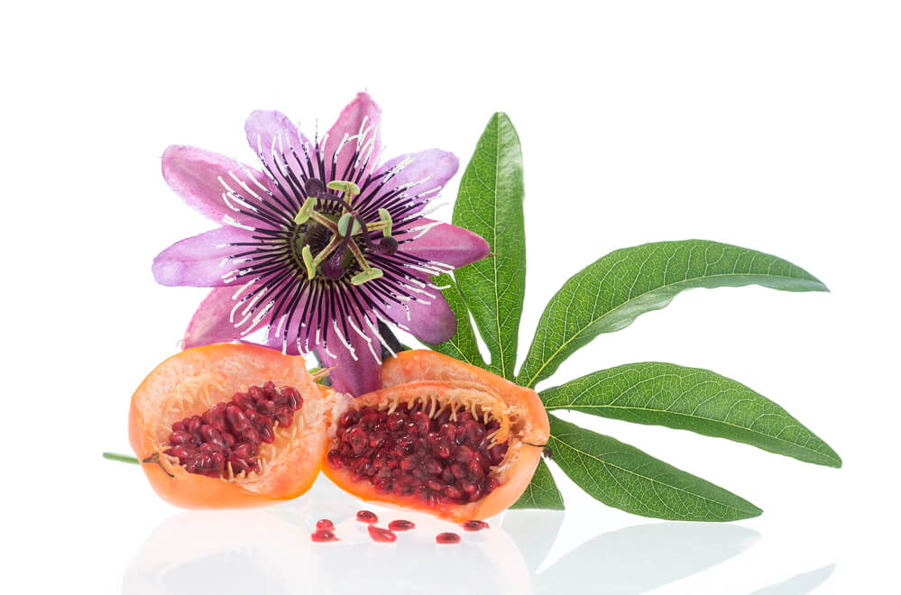 benefits of passion flower