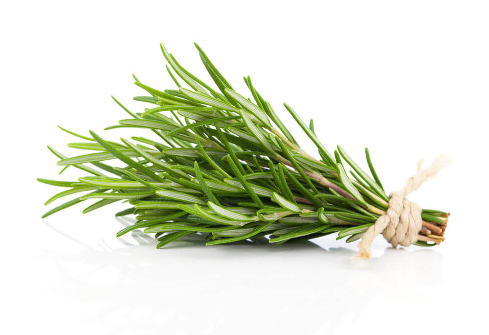 benefits of rosemary