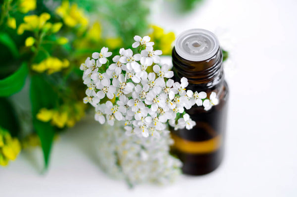 benefits of yarrow